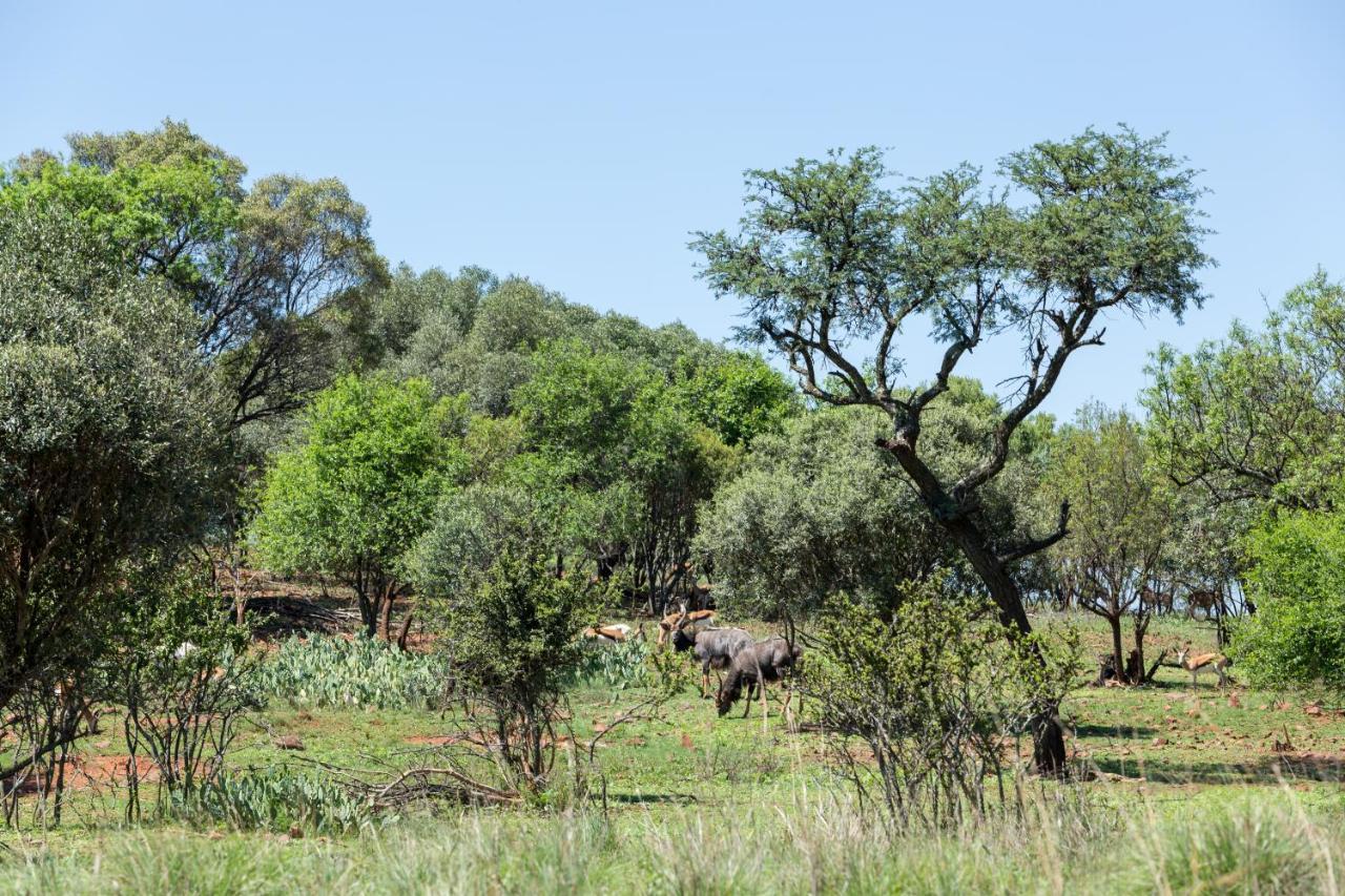 Harties Is Africa Safari Lodge Kosmos Exteriér fotografie