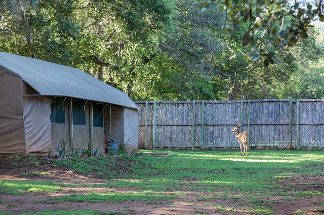 Harties Is Africa Safari Lodge Kosmos Exteriér fotografie